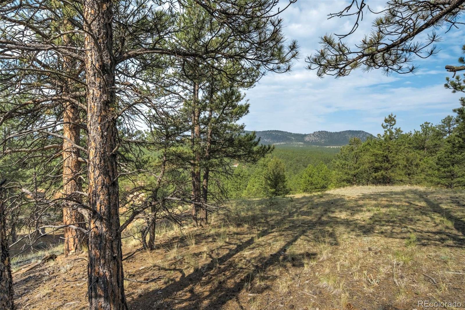 39 Reed Drive Florissant CO 80816