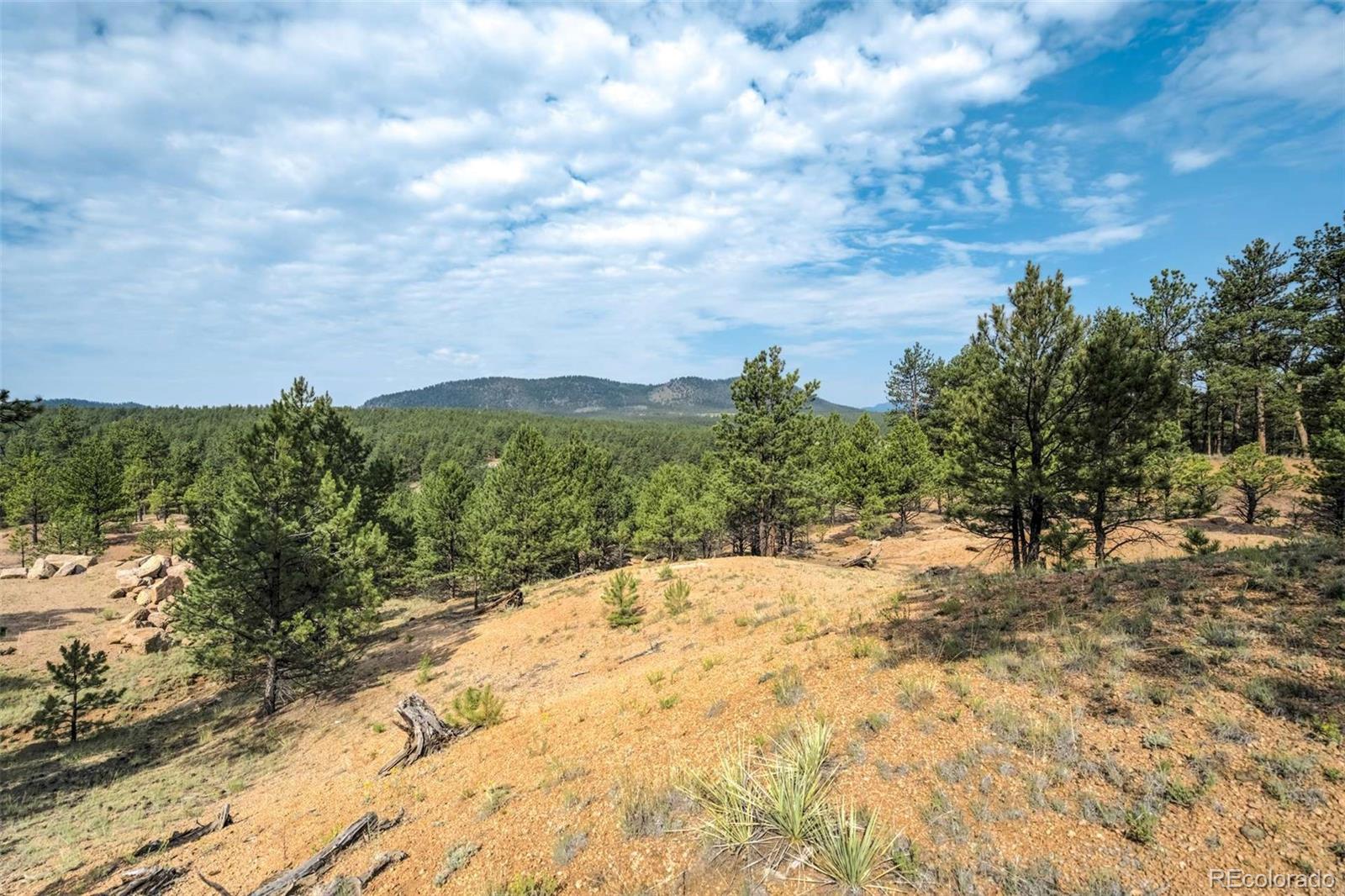 39 Reed Drive Florissant CO 80816