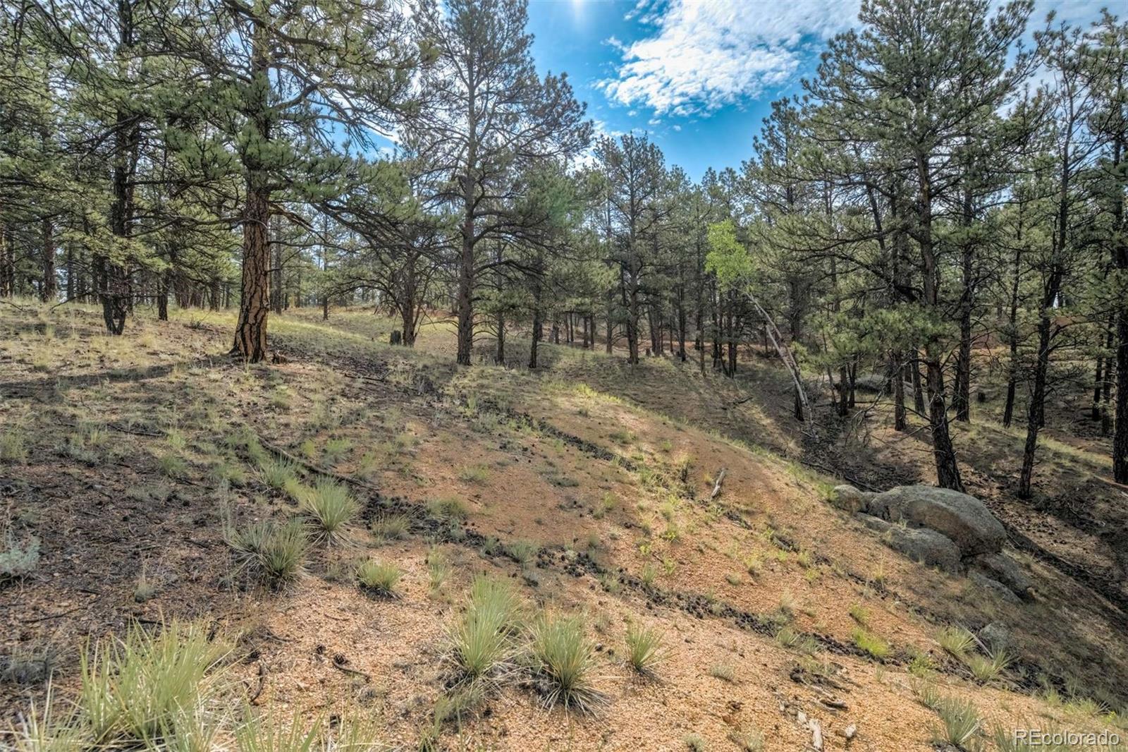 39 Reed Drive Florissant CO 80816
