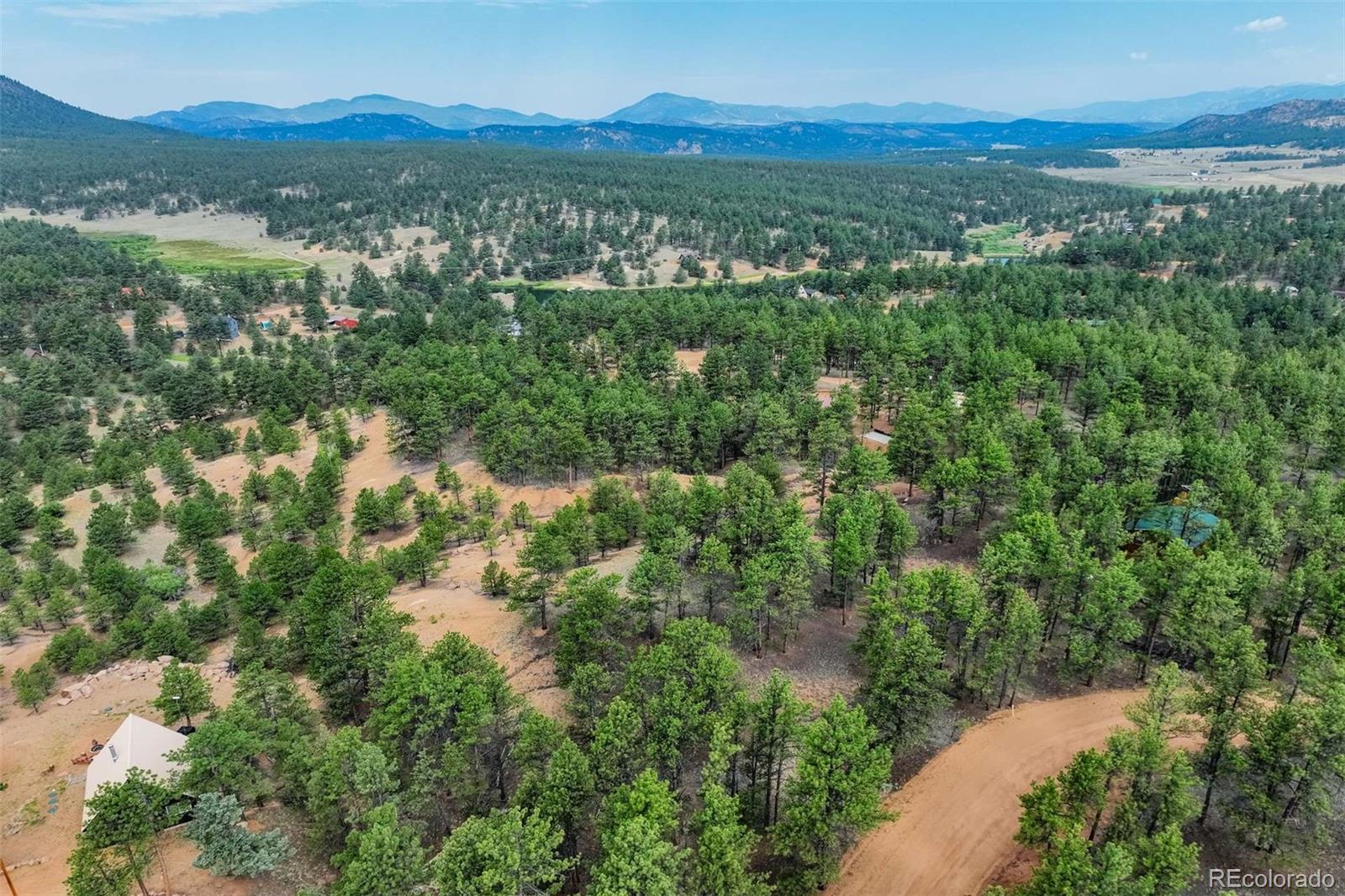 39 Reed Drive Florissant CO 80816