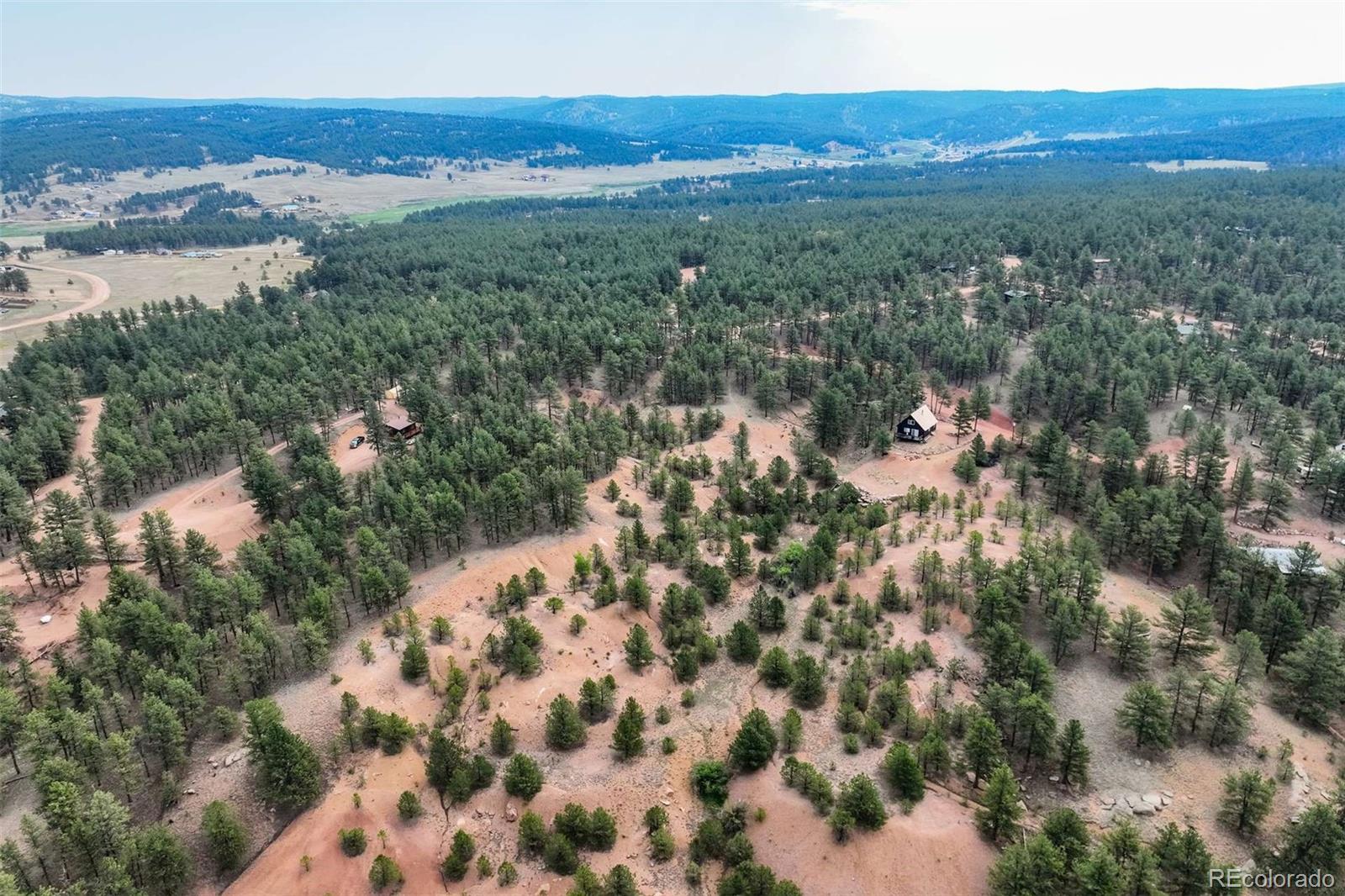 39 Reed Drive Florissant CO 80816
