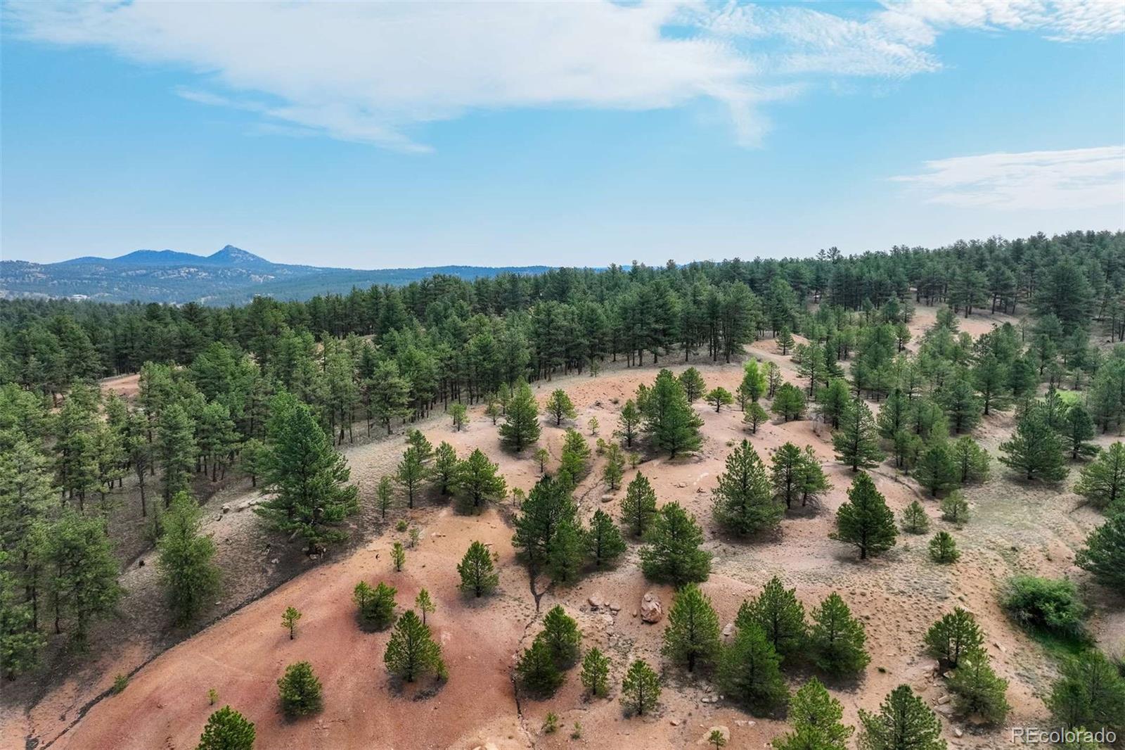 39 Reed Drive Florissant CO 80816
