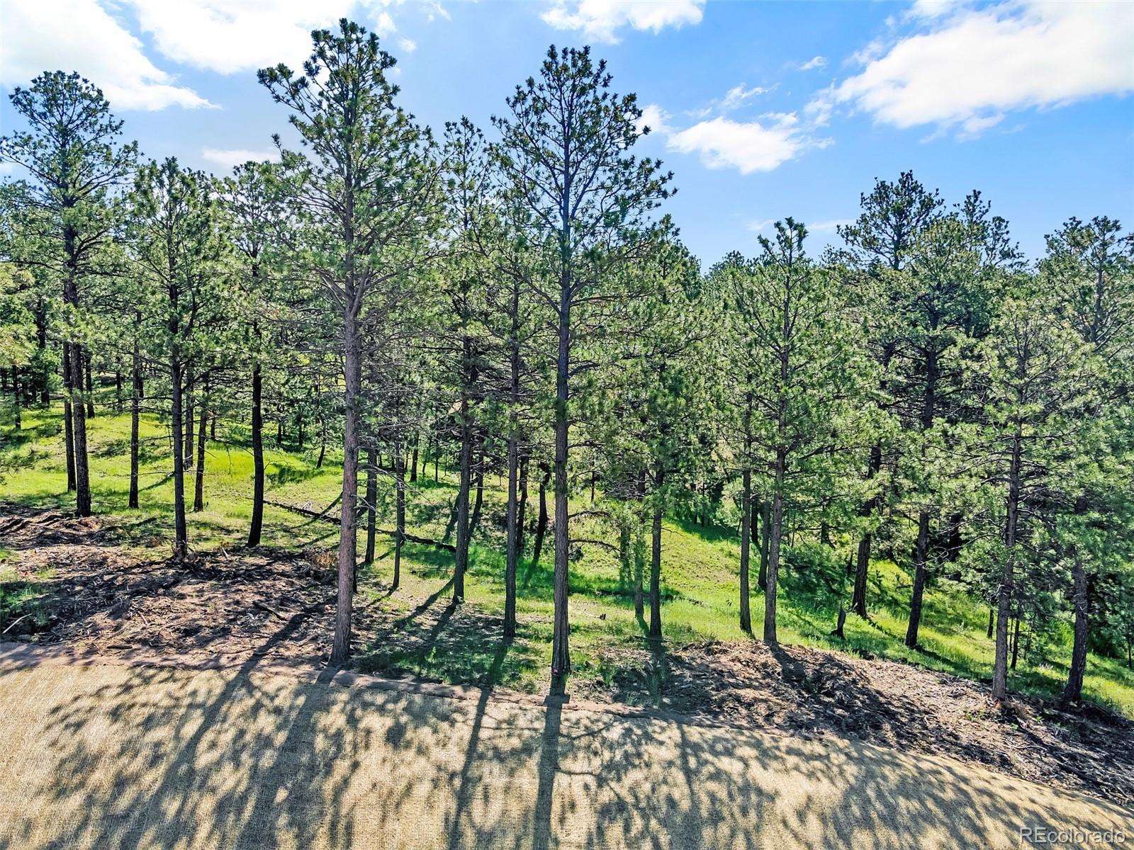 14531 Quartz Creek Drive Colorado Springs CO 80908