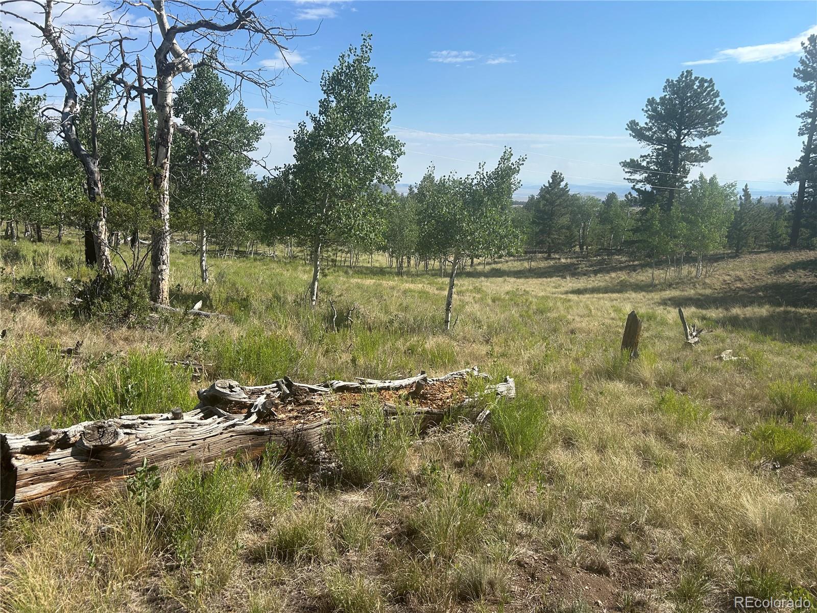 3361 Singletree Road Hartsel CO 80449