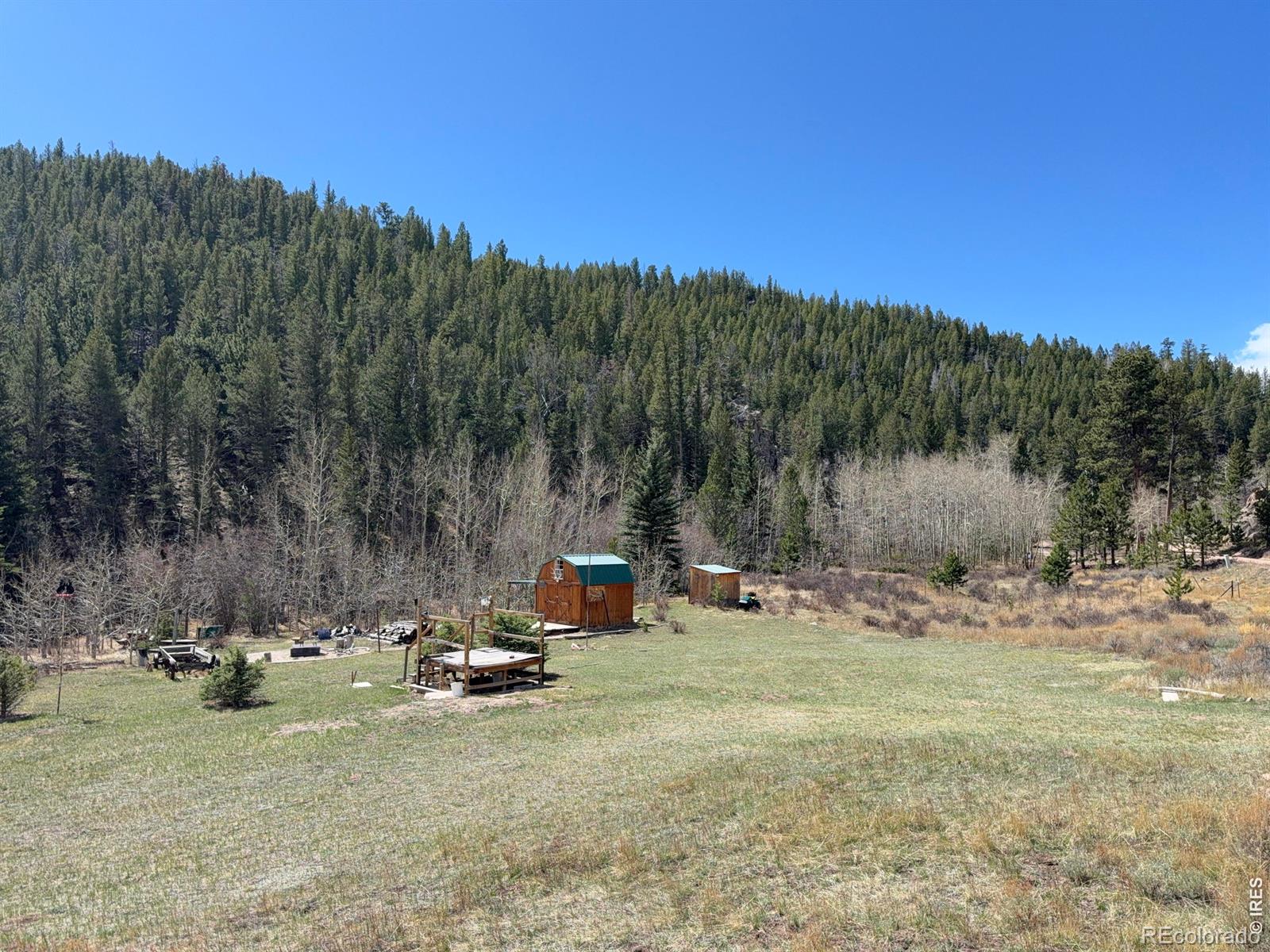 528 Lone Pine Lake Drive Red Feather Lakes CO 80545