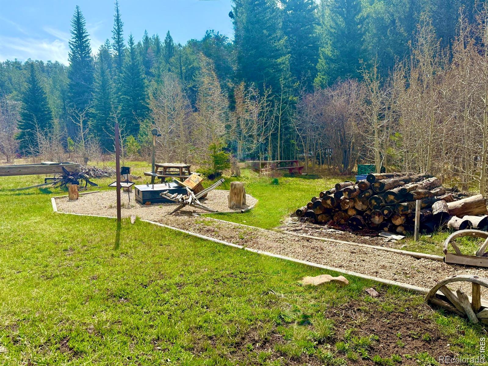 528 Lone Pine Lake Drive Red Feather Lakes CO 80545