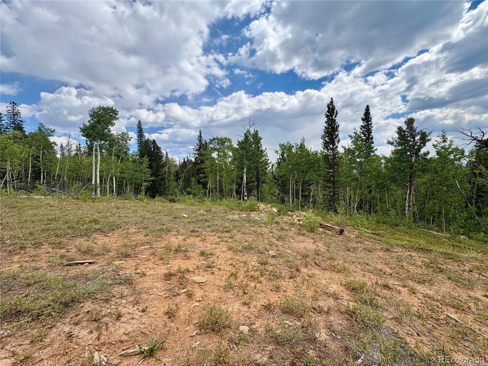 000 Beaver Creek Road Alma CO 80420