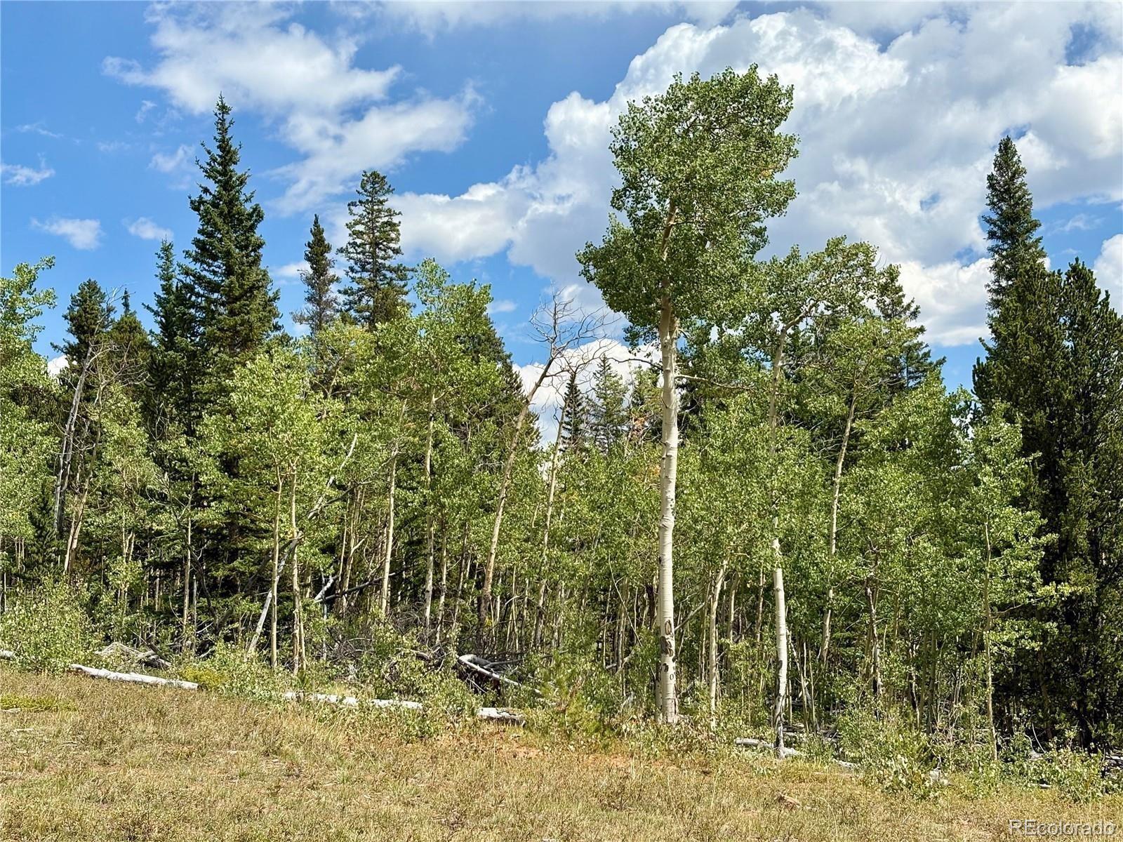 000 Beaver Creek Road Alma CO 80420