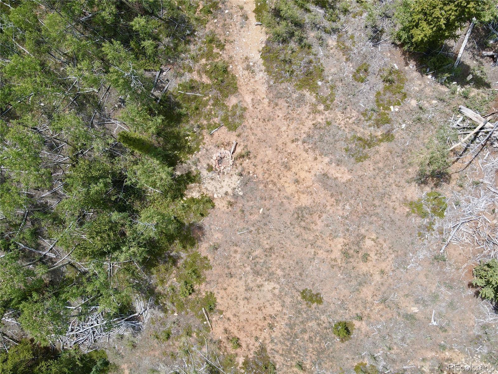 000 Beaver Creek Road Alma CO 80420