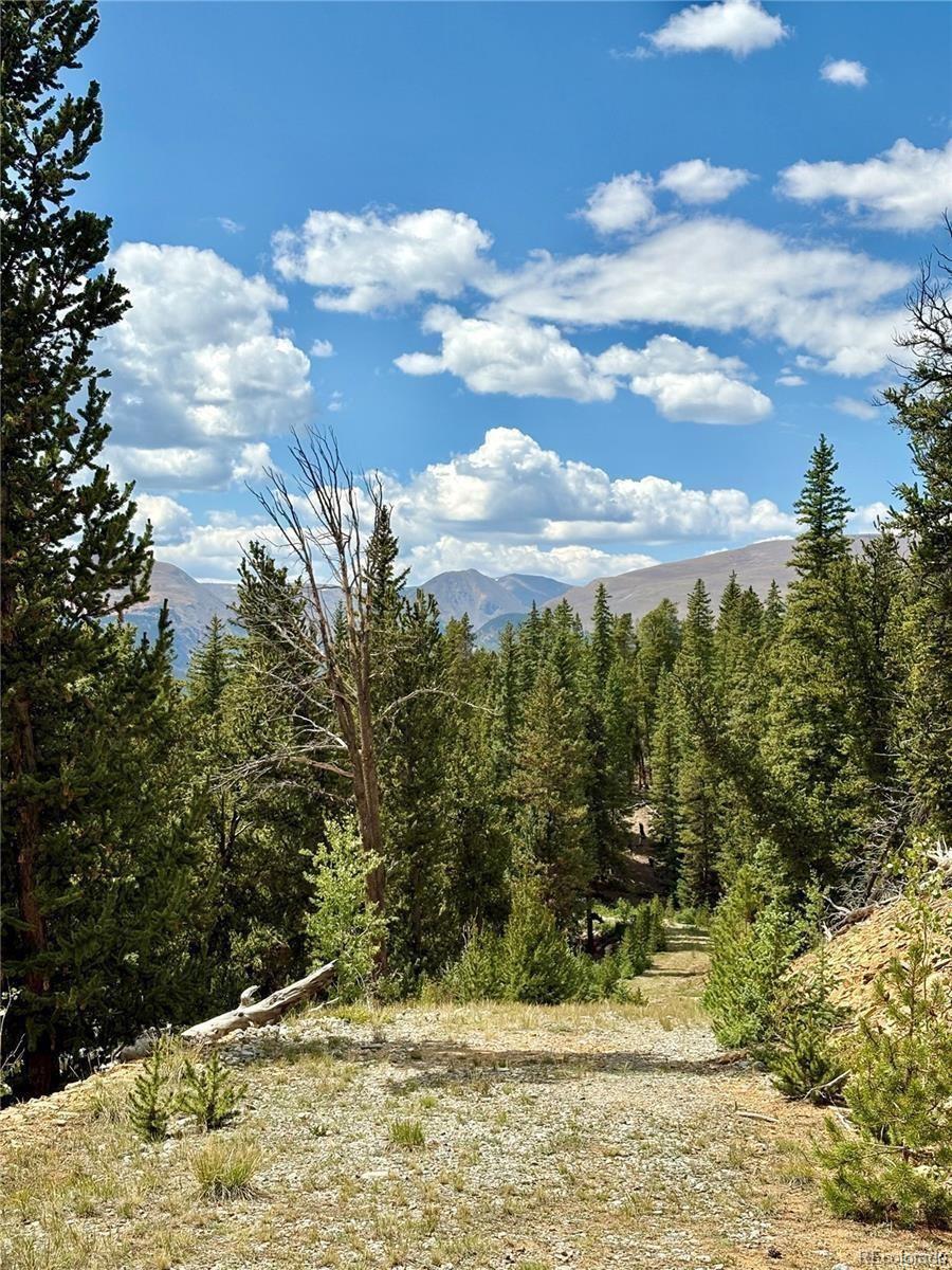 000 Beaver Creek Road Alma CO 80420