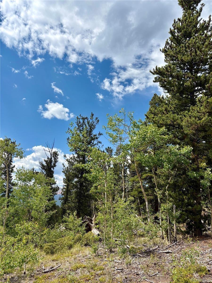 000 Beaver Creek Road Alma CO 80420
