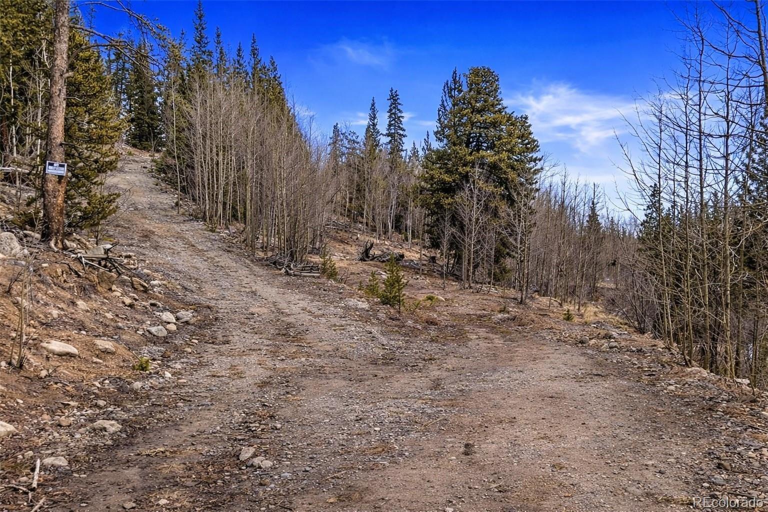 000 Beaver Creek Road Alma CO 80420