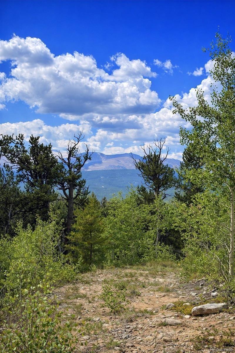 000 Beaver Creek Road Alma CO 80420