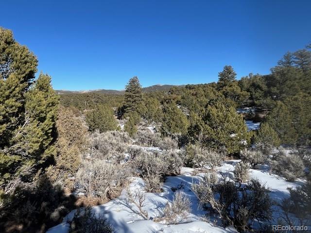 Lot 7860 Platten Road Fort Garland CO 81133