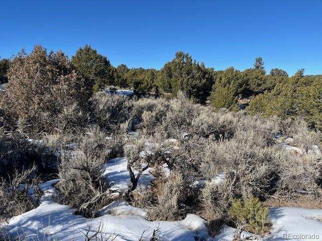 Lot 7860 Platten Road Fort Garland CO 81133