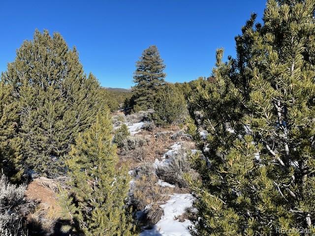 Lot 7860 Platten Road Fort Garland CO 81133