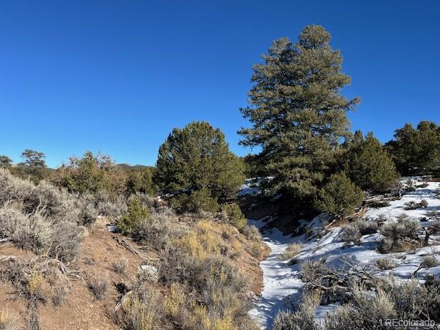 Lot 7860 Platten Road Fort Garland CO 81133