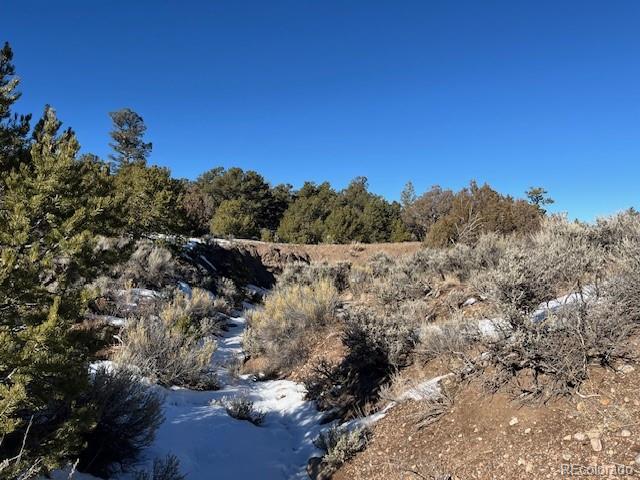 Lot 7860 Platten Road Fort Garland CO 81133