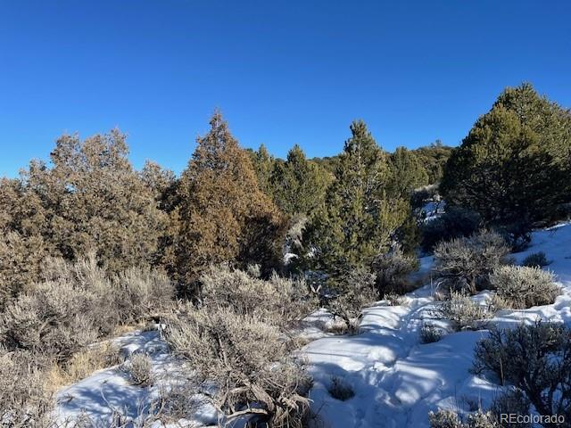 Lot 7860 Platten Road Fort Garland CO 81133