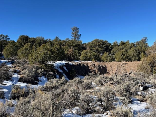 Lot 7860 Platten Road Fort Garland CO 81133