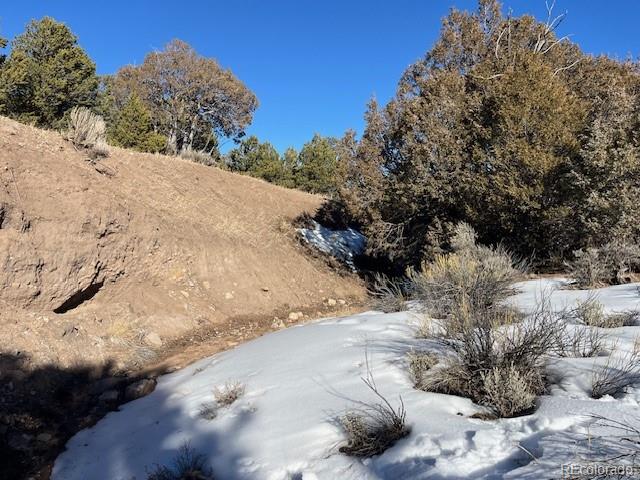 Lot 7860 Platten Road Fort Garland CO 81133