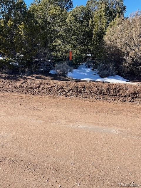 Lot 7860 Platten Road Fort Garland CO 81133
