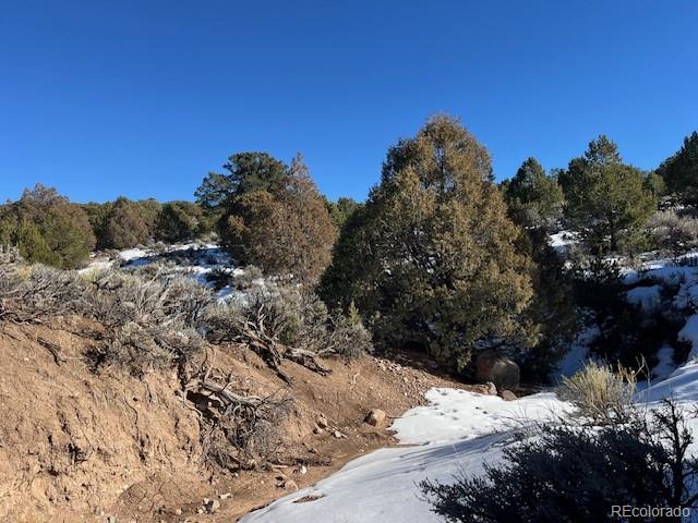 Lot 7860 Platten Road Fort Garland CO 81133