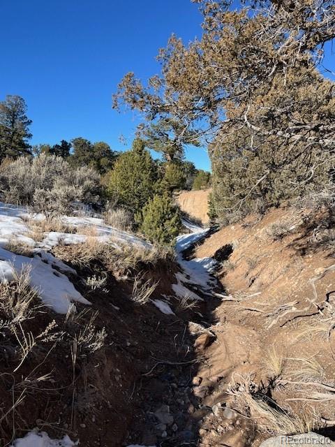 Lot 7860 Platten Road Fort Garland CO 81133