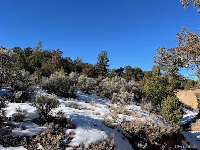 Lot 7860 Platten Road Fort Garland CO 81133
