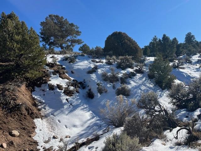 Lot 7860 Platten Road Fort Garland CO 81133
