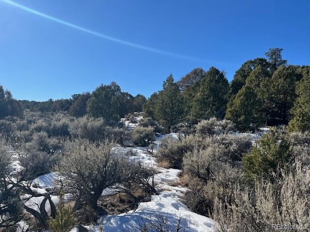 Lot 7860 Platten Road Fort Garland CO 81133