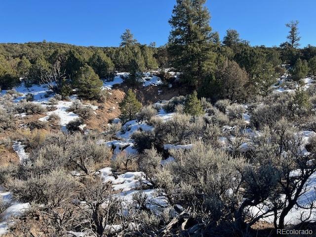 Lot 7860 Platten Road Fort Garland CO 81133