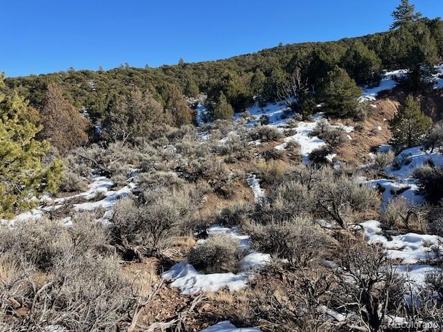 Lot 7860 Platten Road Fort Garland CO 81133