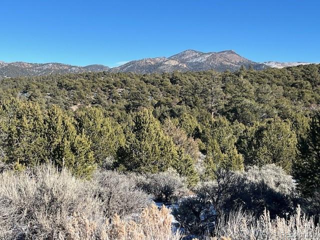 Lot 7860 Platten Road Fort Garland CO 81133