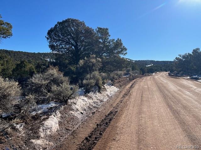 Lot 7860 Platten Road Fort Garland CO 81133