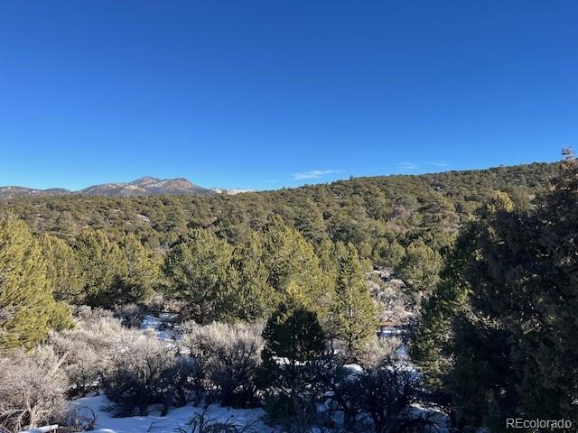 Lot 7860 Platten Road Fort Garland CO 81133