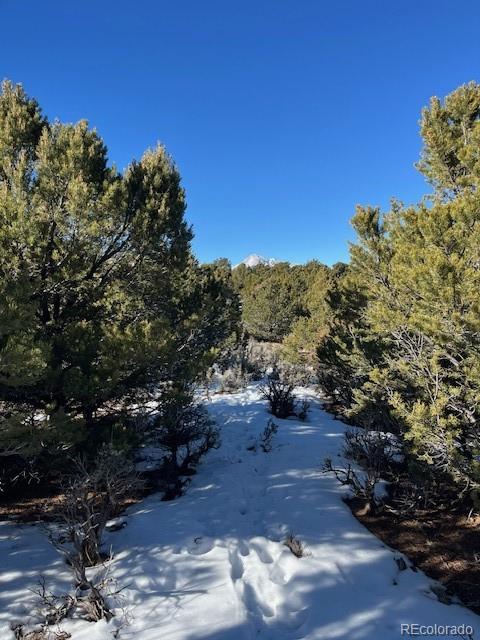 Lot 7860 Platten Road Fort Garland CO 81133