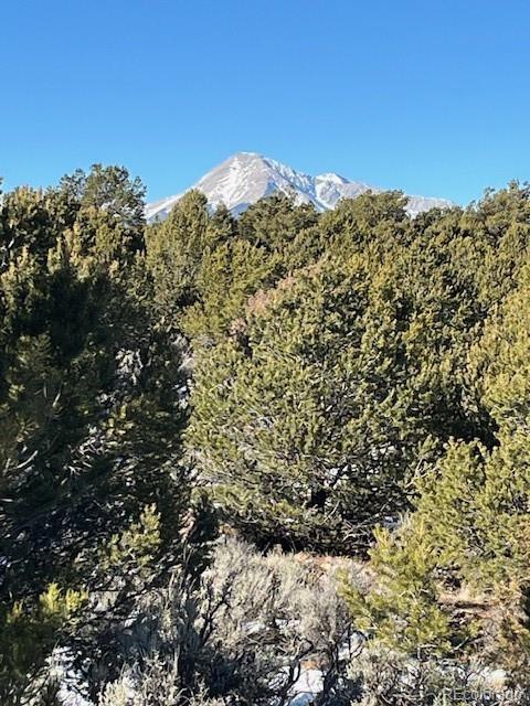 Lot 7860 Platten Road Fort Garland CO 81133