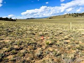 785 Cherokee Trail Hartsel CO 80449