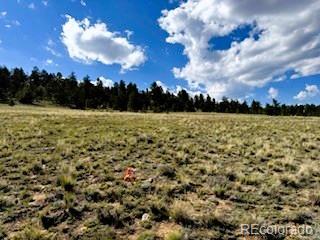 785 Cherokee Trail Hartsel CO 80449