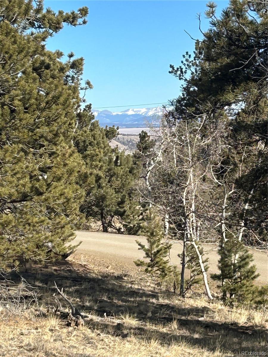 3430 Singletree Road Hartsel CO 80449