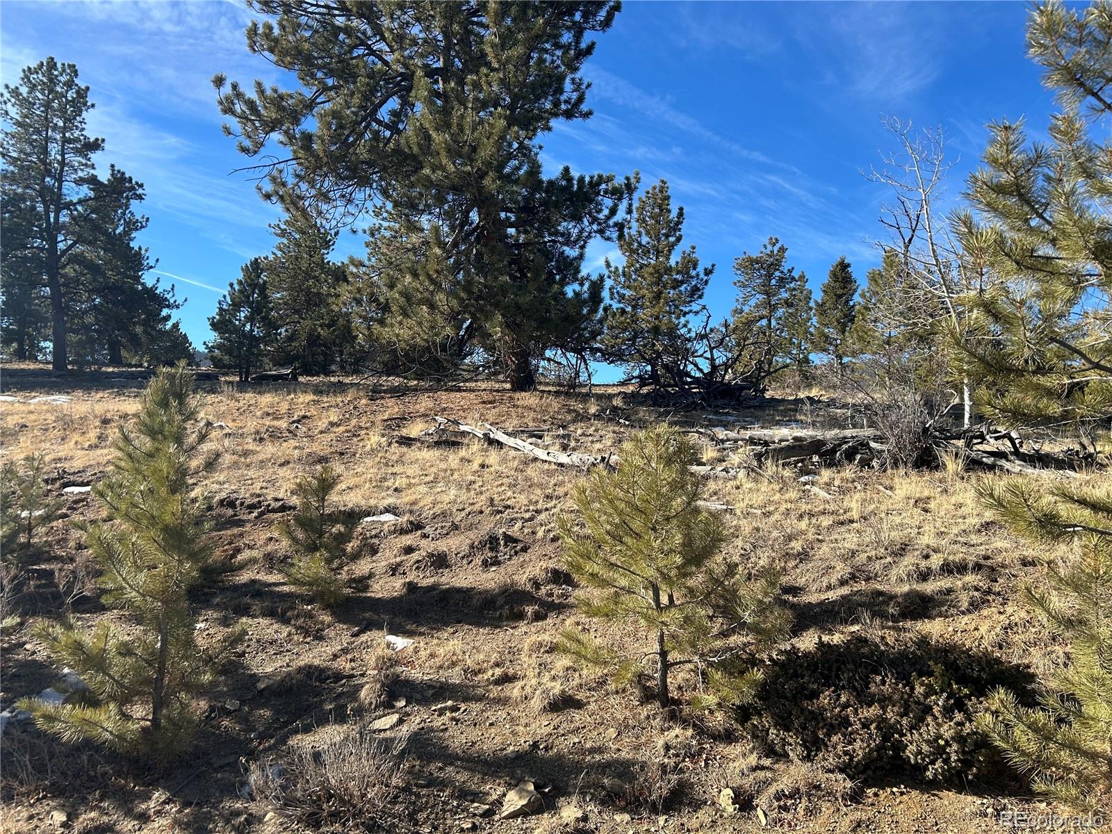 3430 Singletree Road Hartsel CO 80449