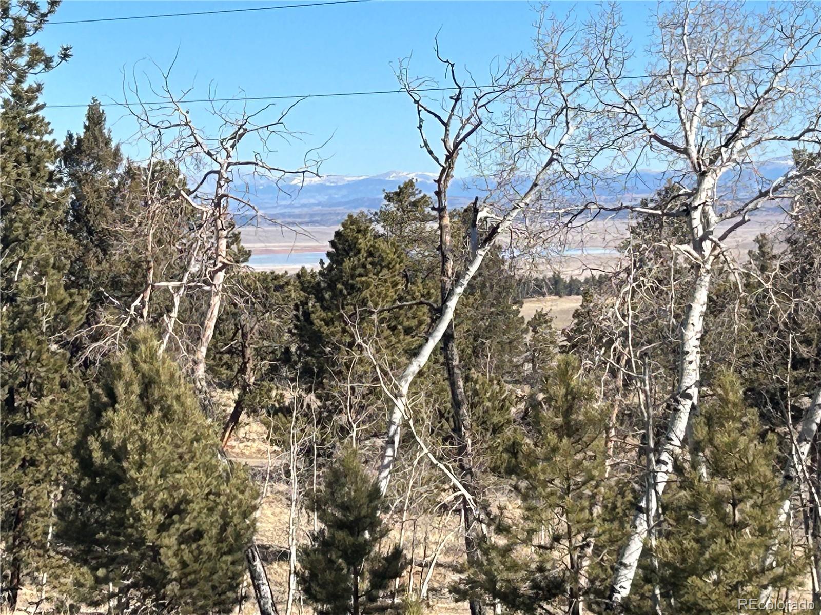 3430 Singletree Road Hartsel CO 80449