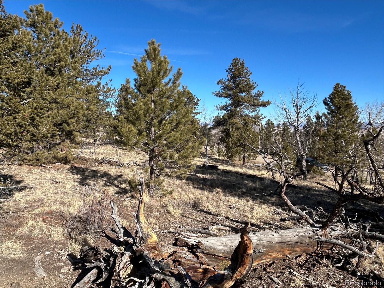 3430 Singletree Road Hartsel CO 80449