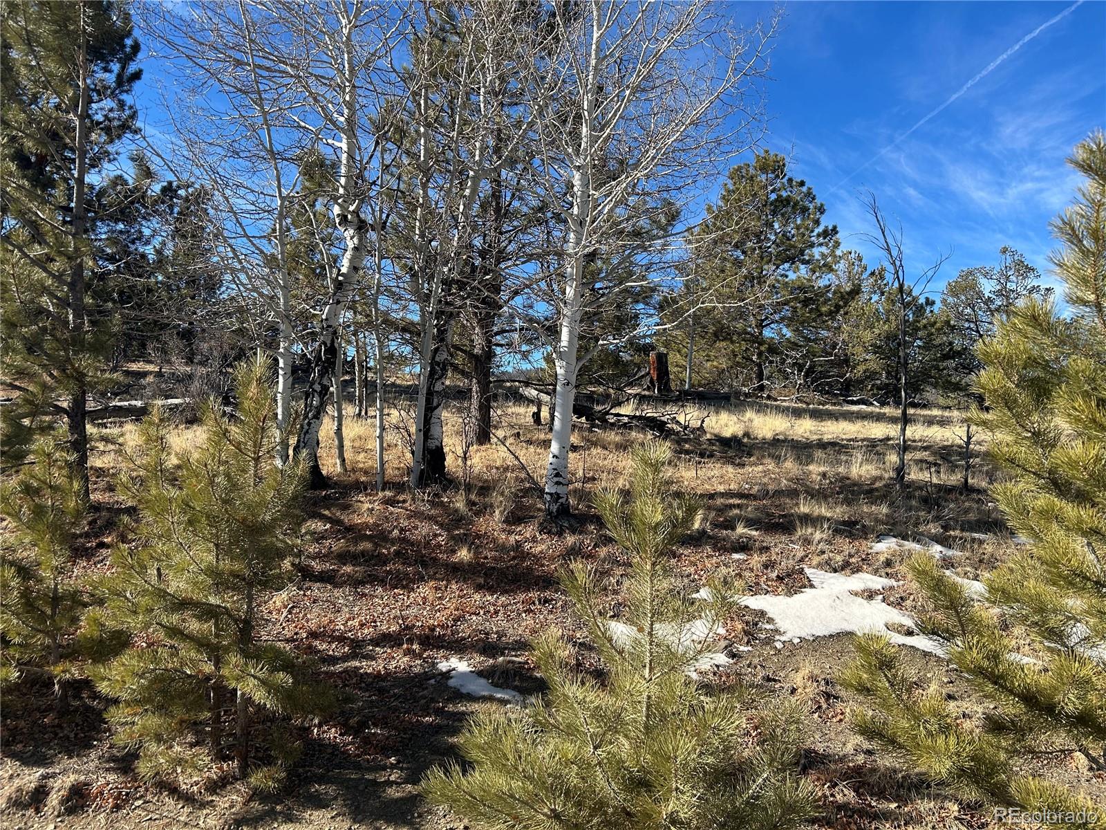 3430 Singletree Road Hartsel CO 80449