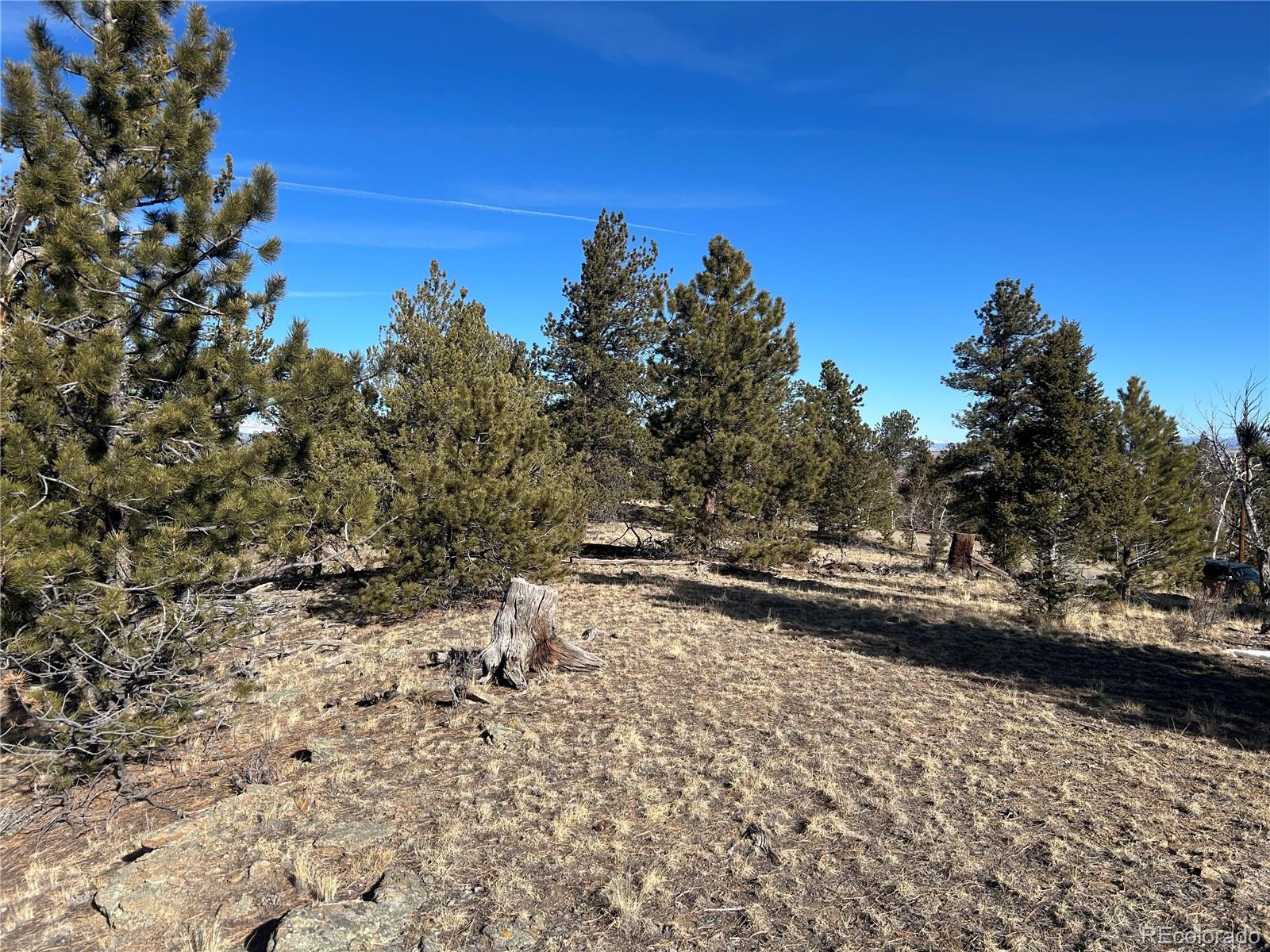 3430 Singletree Road Hartsel CO 80449