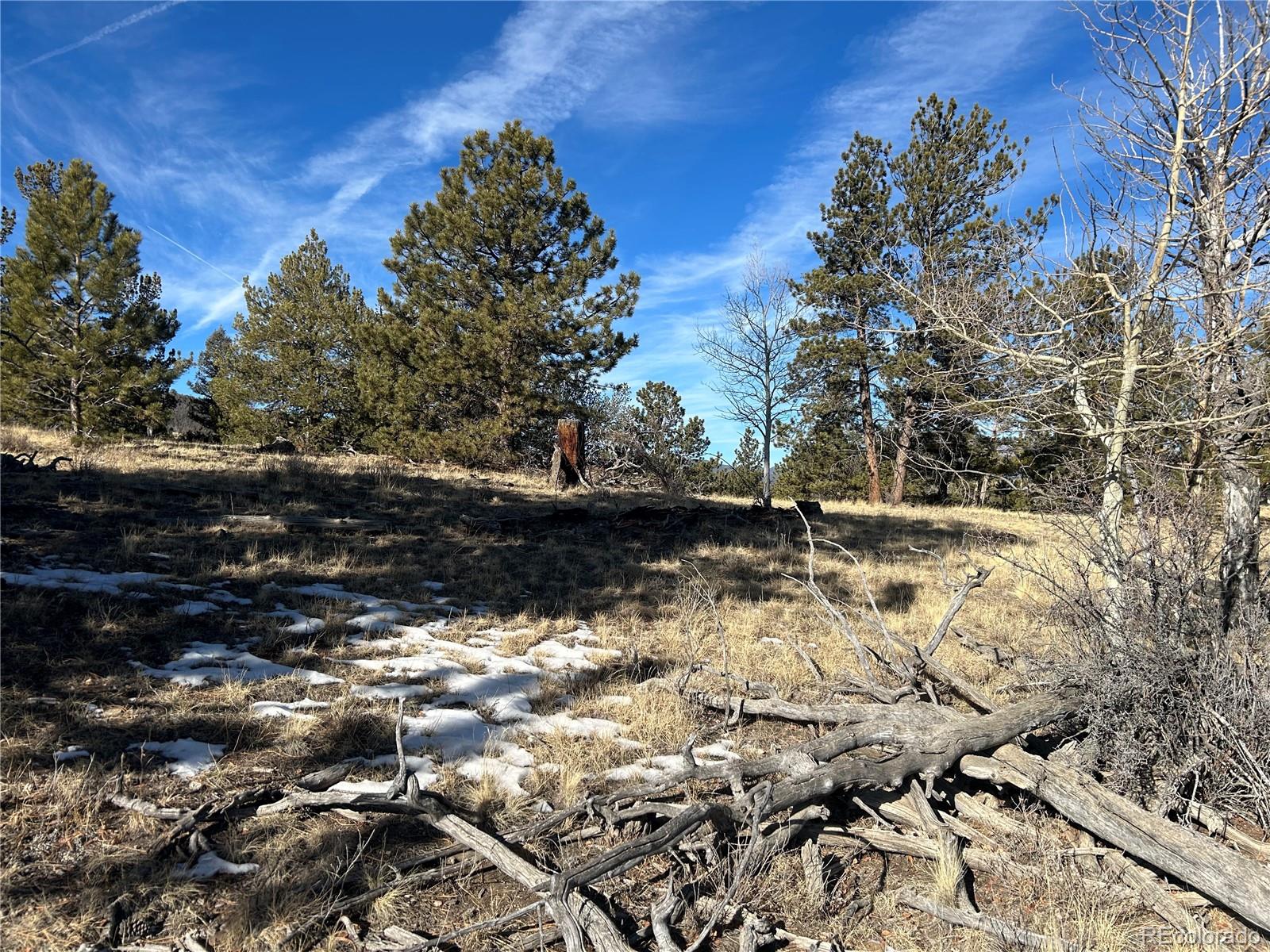 3430 Singletree Road Hartsel CO 80449