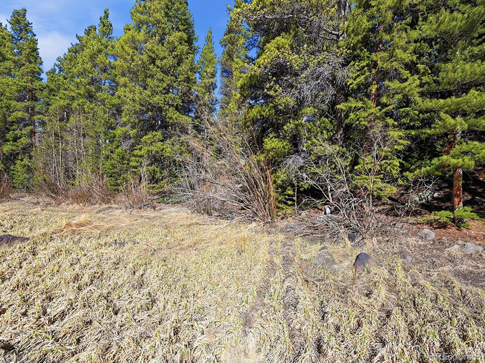 Lot 36 Overlook Court Idaho Springs CO 80452