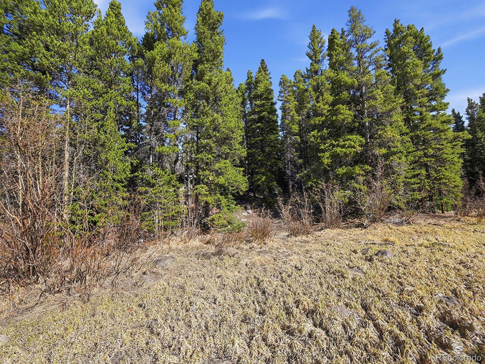Lot 36 Overlook Court Idaho Springs CO 80452