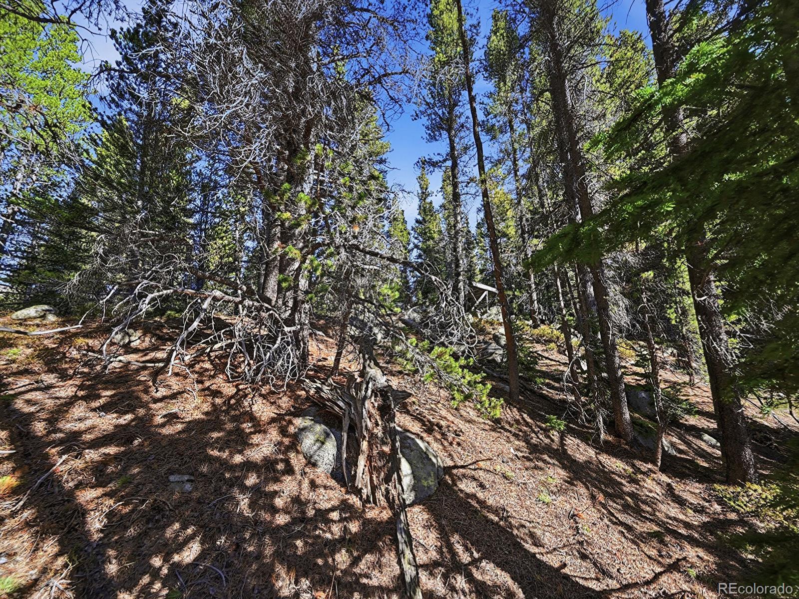 Lot 36 Overlook Court Idaho Springs CO 80452